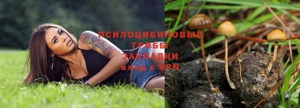 винт Арсеньев