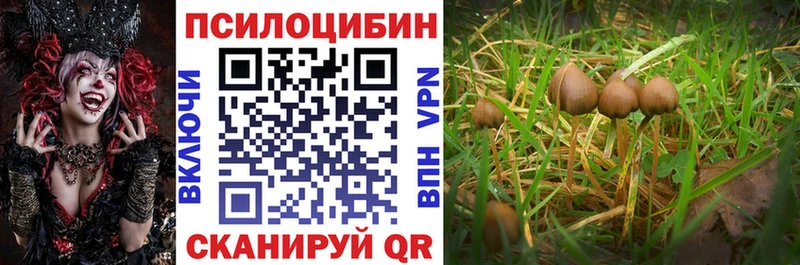 Галлюциногенные грибы мицелий  купить наркотики сайты  Узловая 